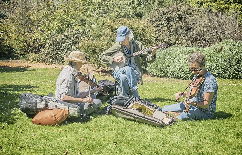 three women, violins, music, sunny day, park
