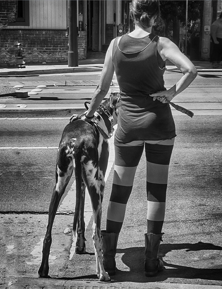 rear view woman in striped leggings walking dalmatian.  black and white