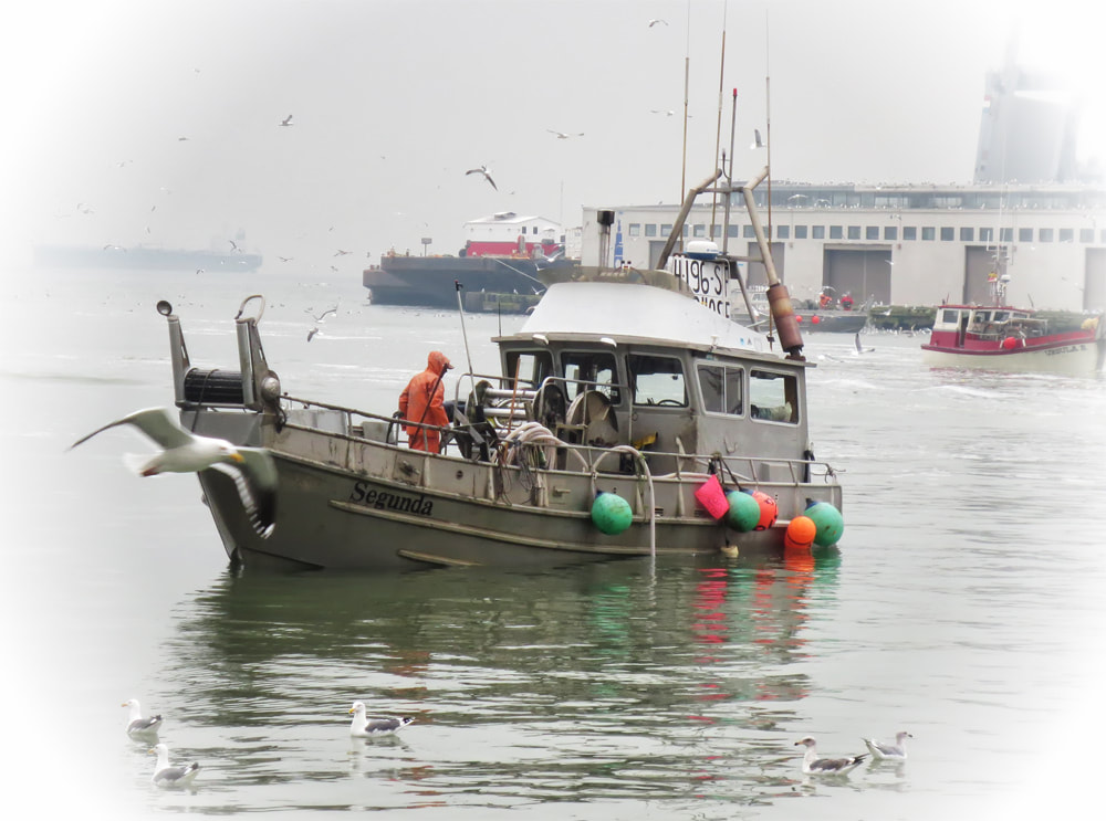herring boat, sf bay