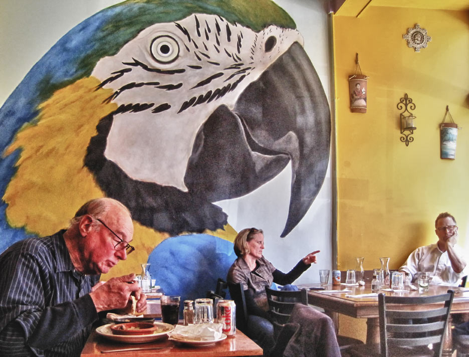 parrot mural, cafe, lunch