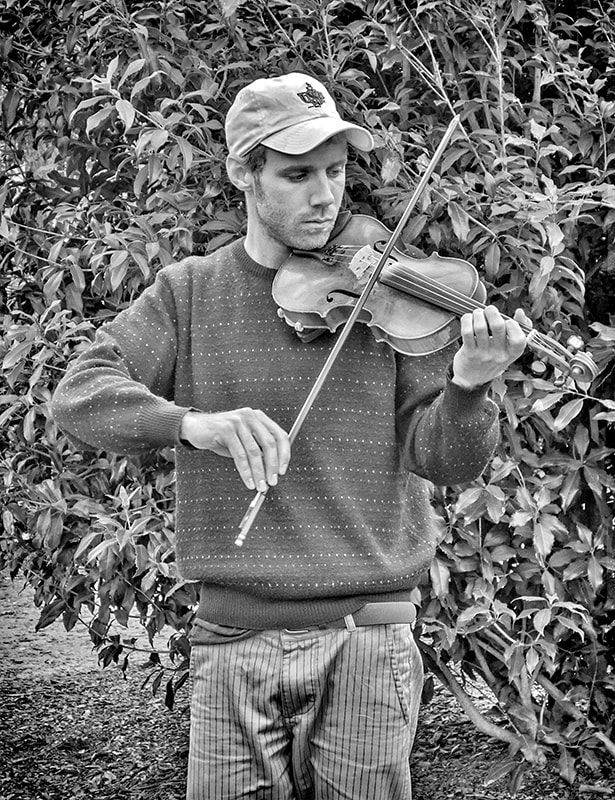 music, violin, black and white, outdoor