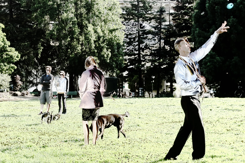 playing, dogs, dog walking, park