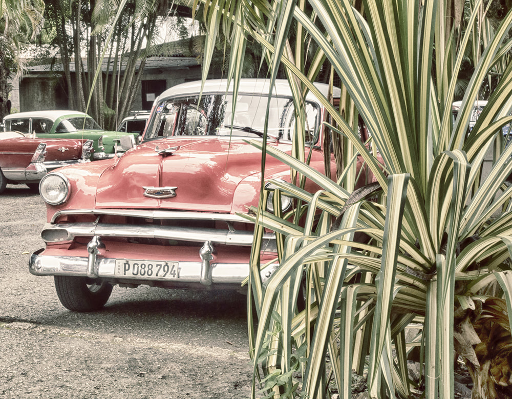 old chevy in Cuba, behind foliage